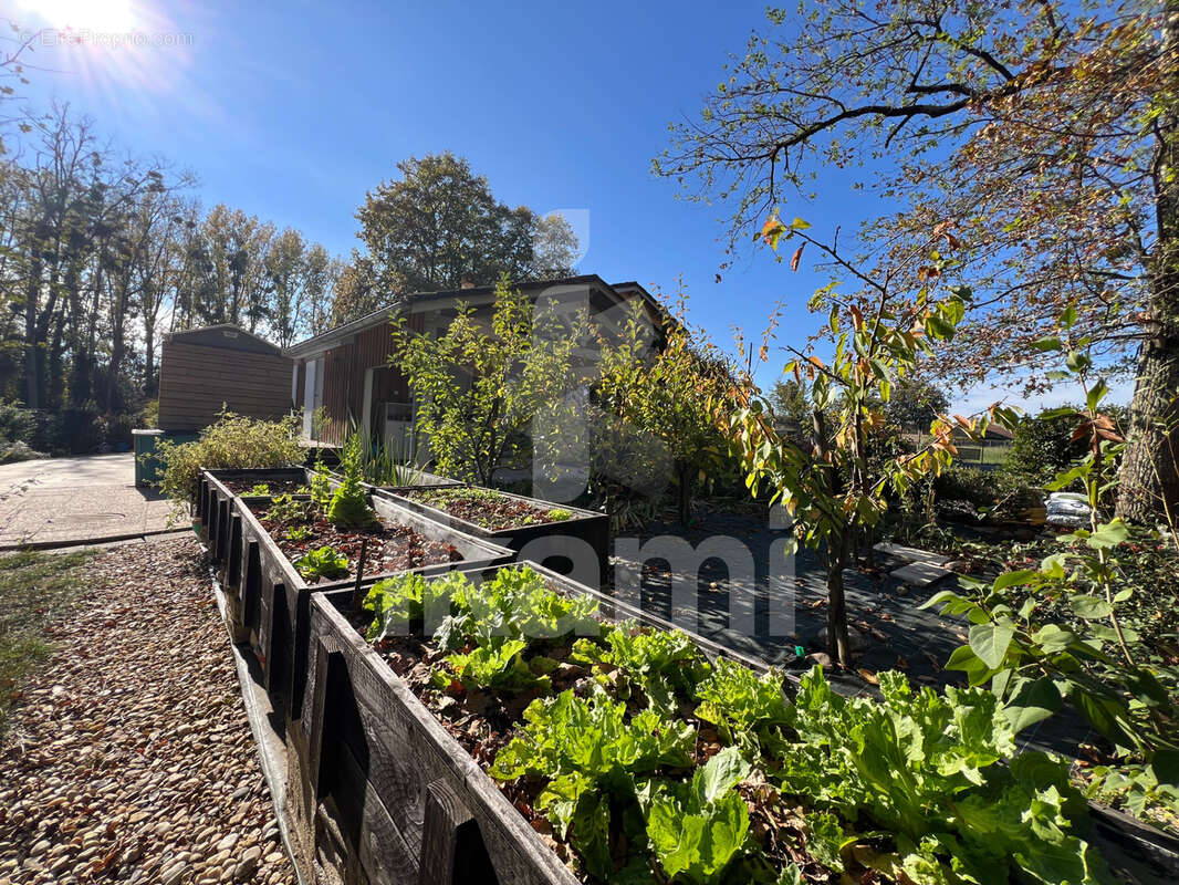 Maison à BERGERAC