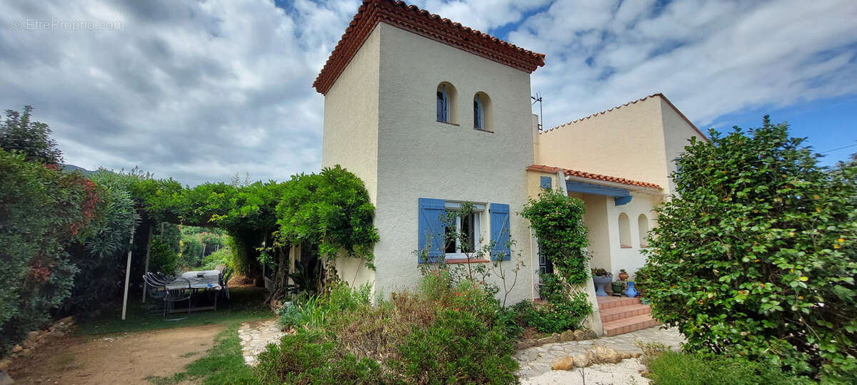 Villa d'exception avec vue sur les Albères et le Canigou - photo 2