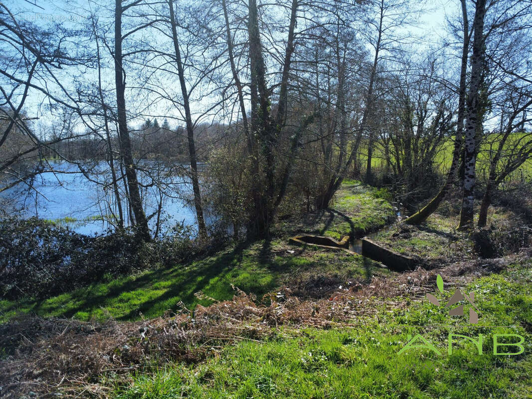 Terrain à MOUZON