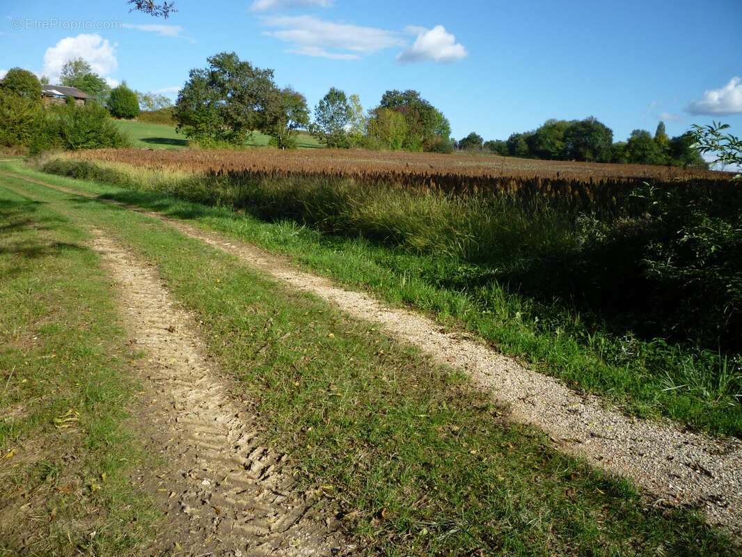 Terrain de loisir - photo 8