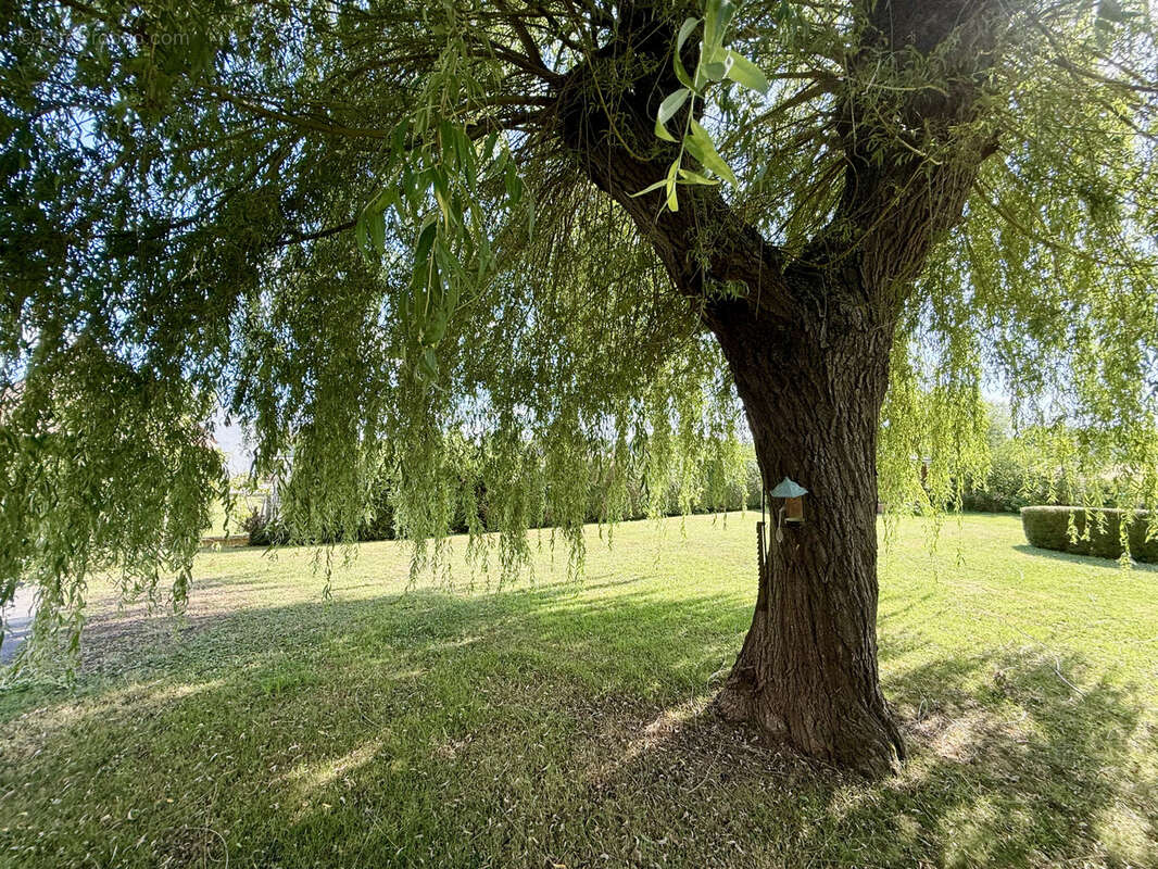 Maison à COULOMMIERS