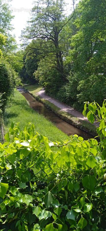 Maison à WISSEMBOURG