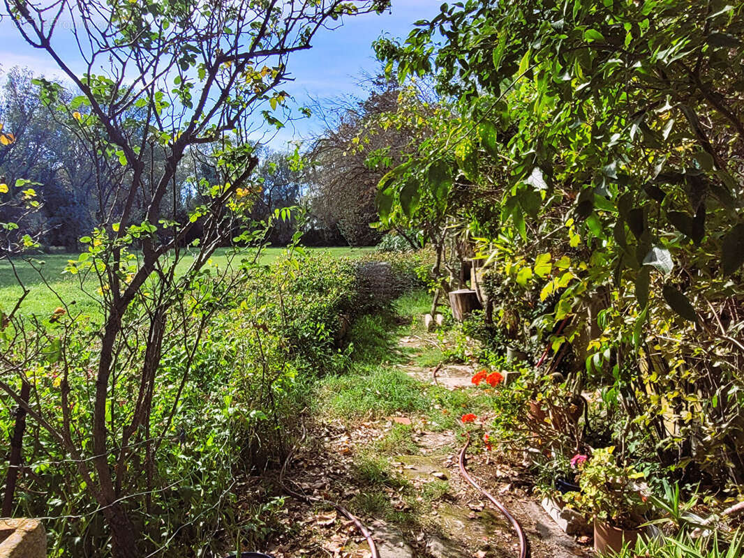 Maison à FONTVIEILLE