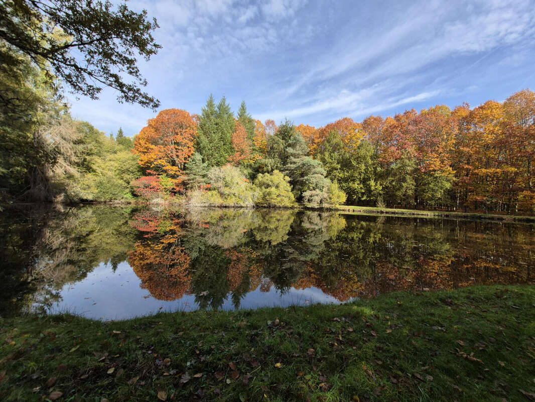 20251031_105909 - Terrain à PIEGUT-PLUVIERS