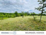 Terrain à CHAVAGNAC