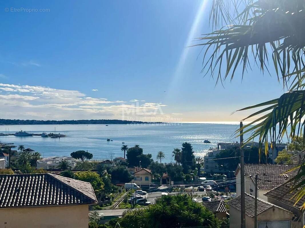 Terrain à VALLAURIS