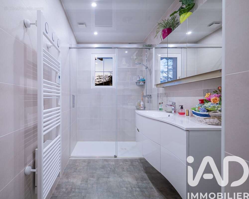 Photo 7 - Maison à MONCE-EN-BELIN