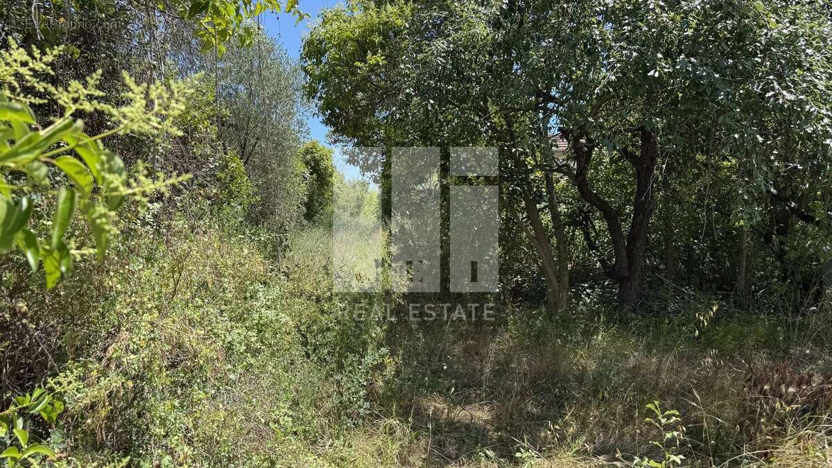 Mougins proche vieux village et commerces terrain constructible - photo 4