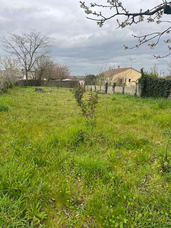 Maison La Chaussaire 6 pièce(s) 145 m2, 3 chambres, bureau, cour-jardin - photo 10