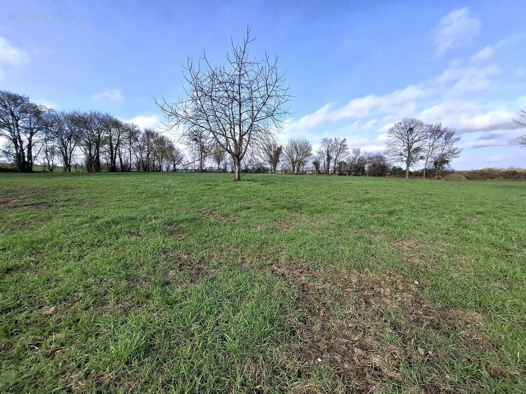 Maison à FRESNAY-SUR-SARTHE