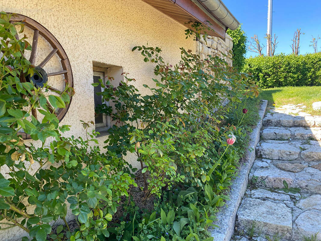 Maison à MOUCHARD