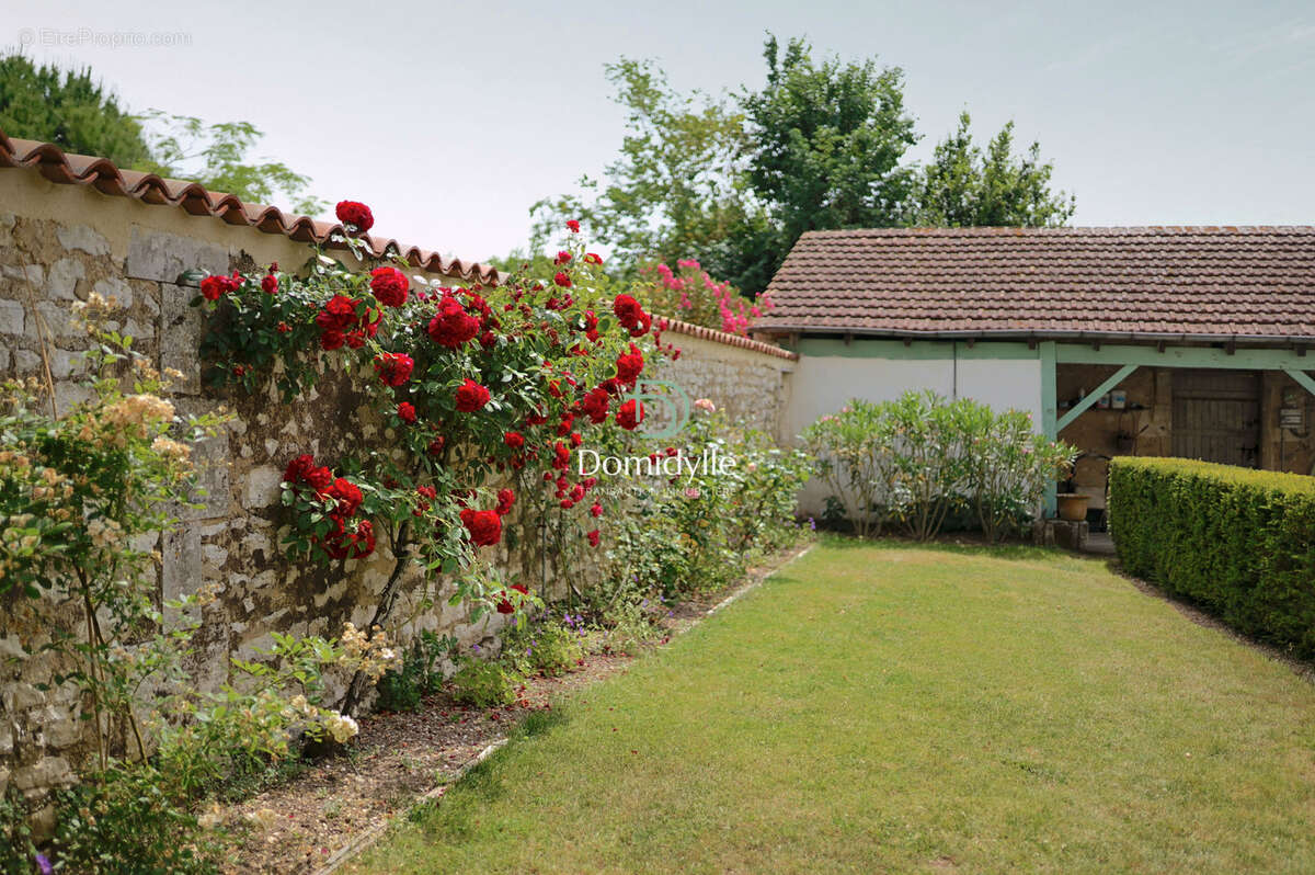 Maison à SAINT-JEAN-D'ANGELY