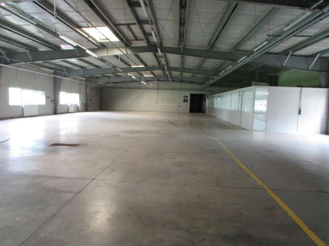 IMG_2653 - Commerce à FERDRUPT