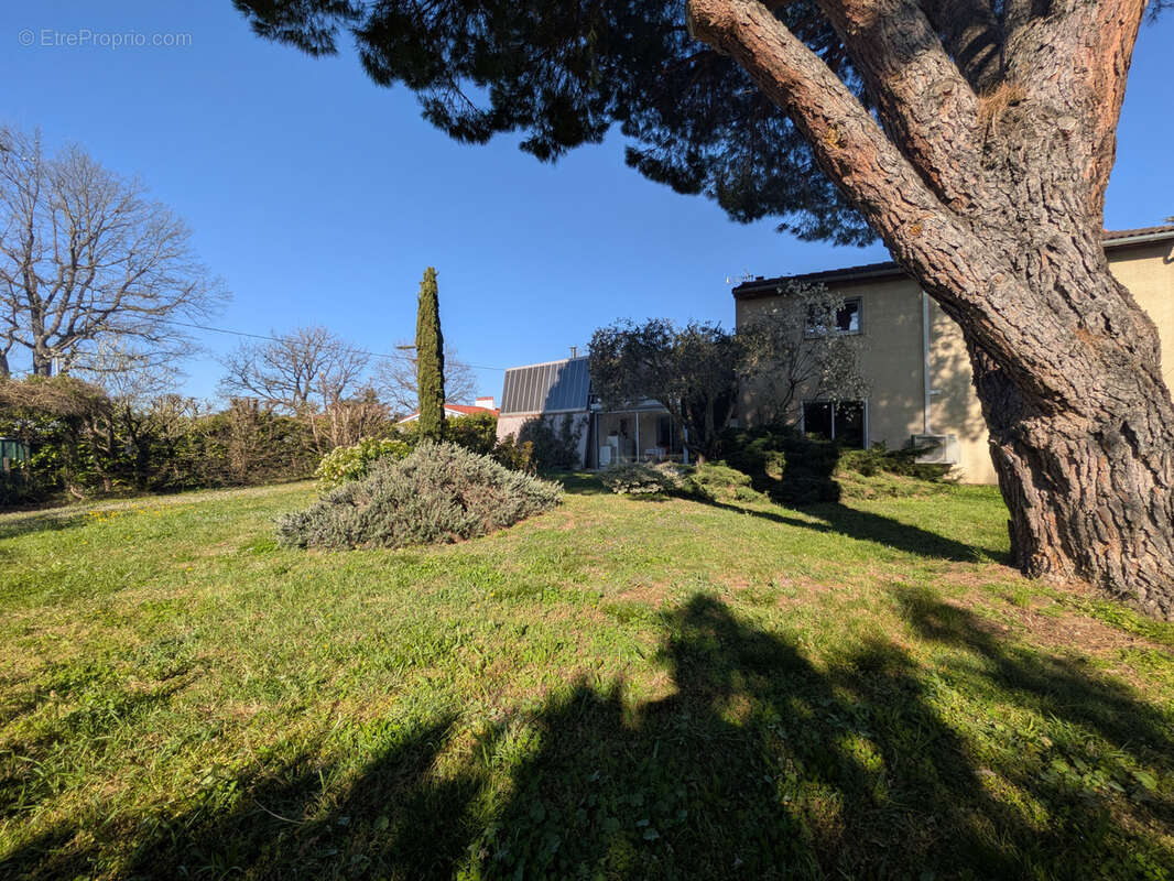 Maison à VILLENEUVE-TOLOSANE