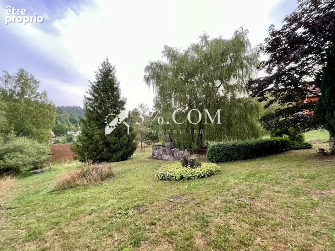 3%.COM - EXCLUSIVITÉ à WANGENBOURG, Maison à fort potentiel - photo 30