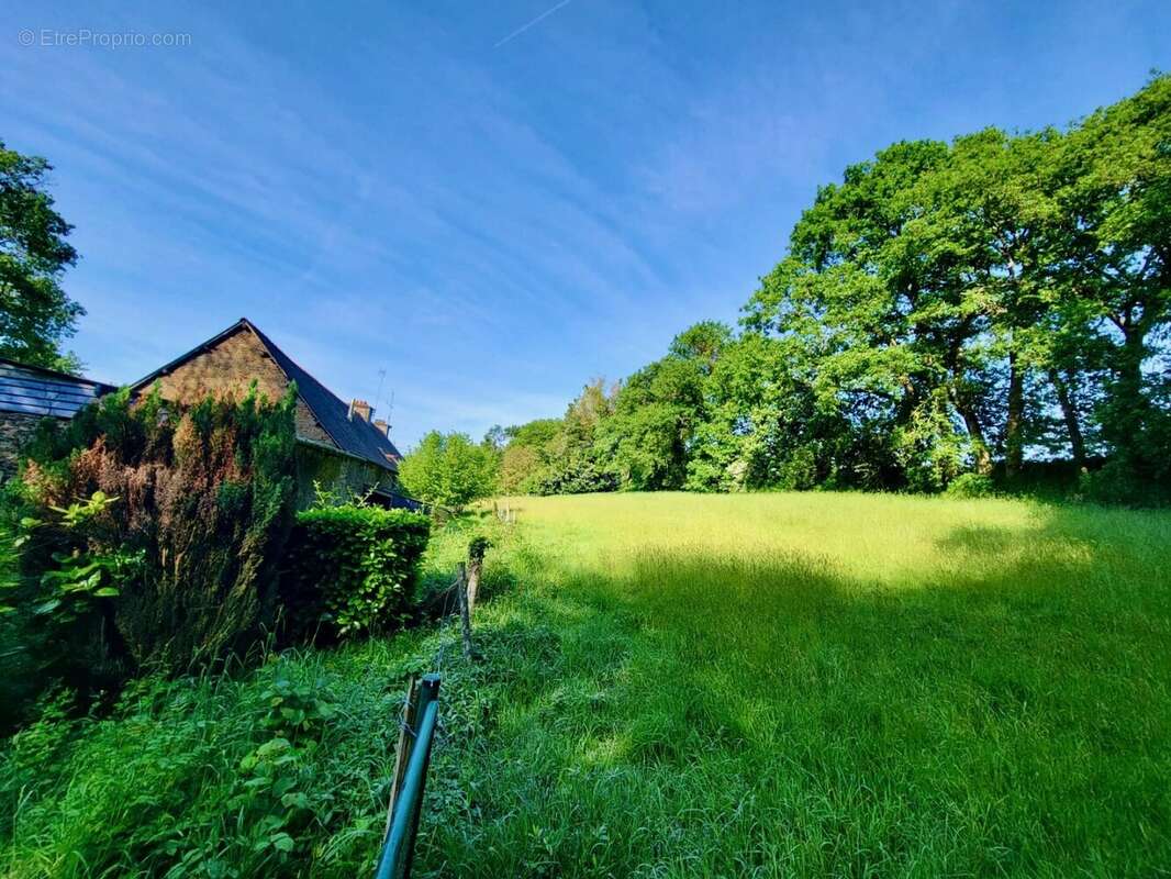 Authentique maison de caractère sur une parcelle de 4470m2 - photo 4