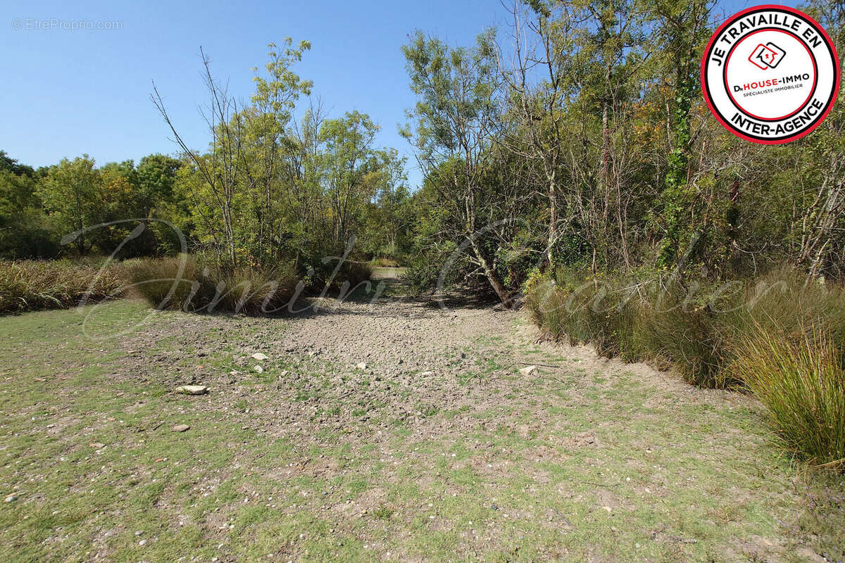 Terrain à SAINT-VIVIEN-DE-MEDOC