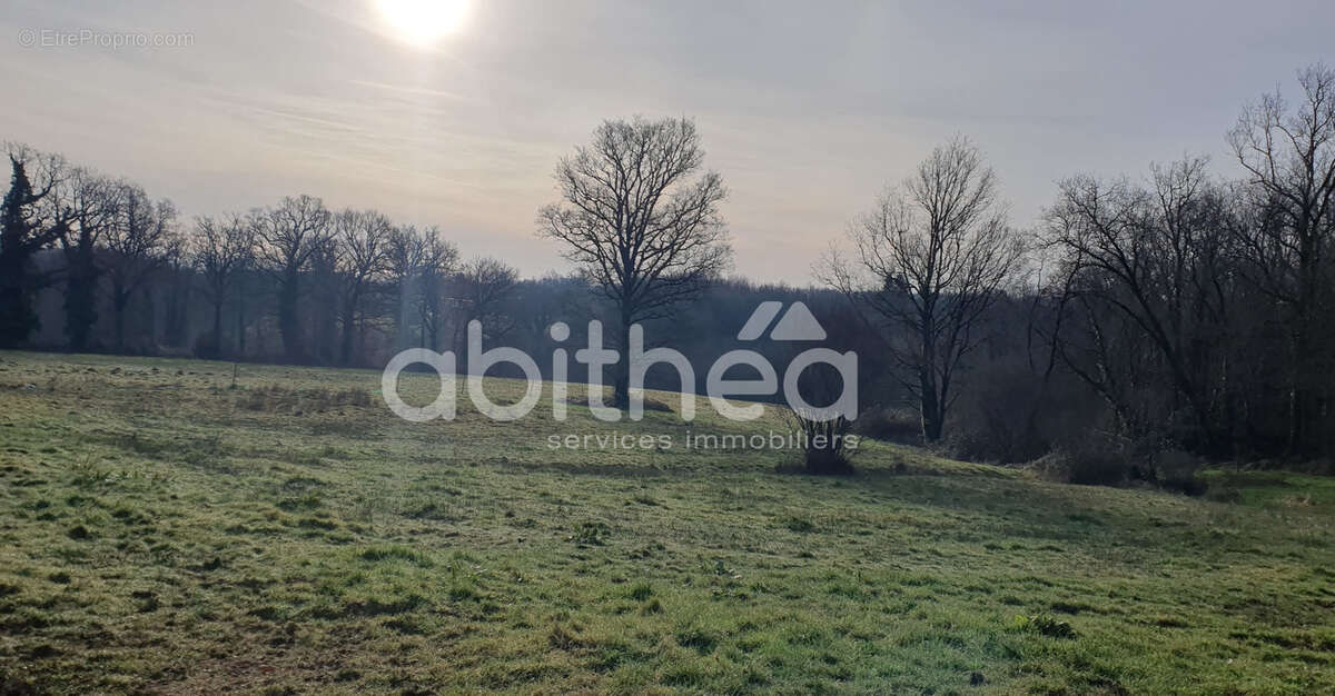 Maison à ROUMAZIERES-LOUBERT