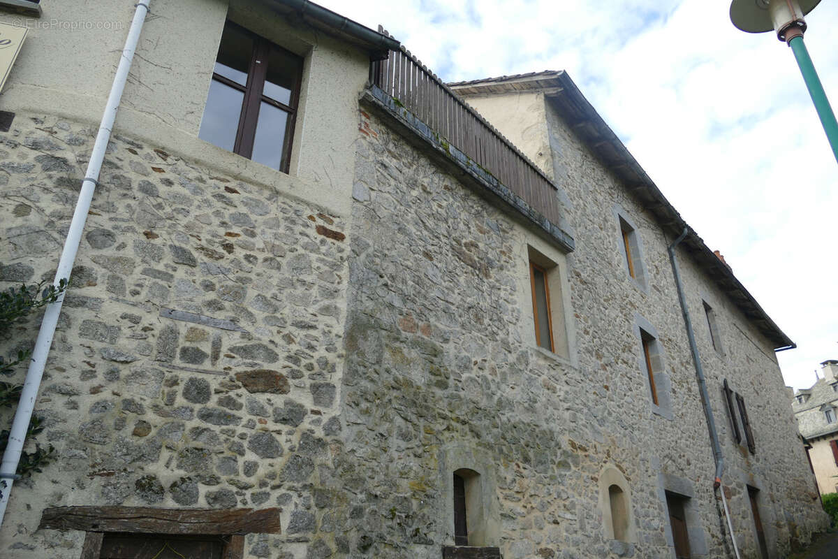 Grande maison rénovée avec atelier ou local commercial, terrasse panoramique et jardin (Mourjou - Puycapel, 15) - photo 30