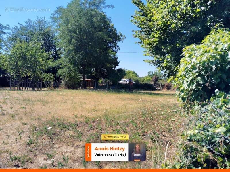 Terrain à vendre de 605,00 m² VALLON EN SULLY (03) - photo 2