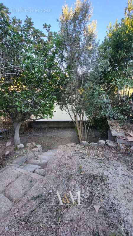 Maison à VILLEVEYRAC