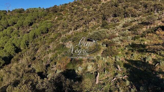 Terrain à BORMES-LES-MIMOSAS