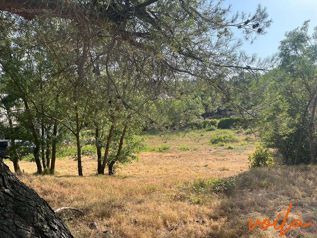 REF : PECHE 5- Carcassonne errain à bâtir 1390m2- proche du lac de la CAVAYERE - photo 3