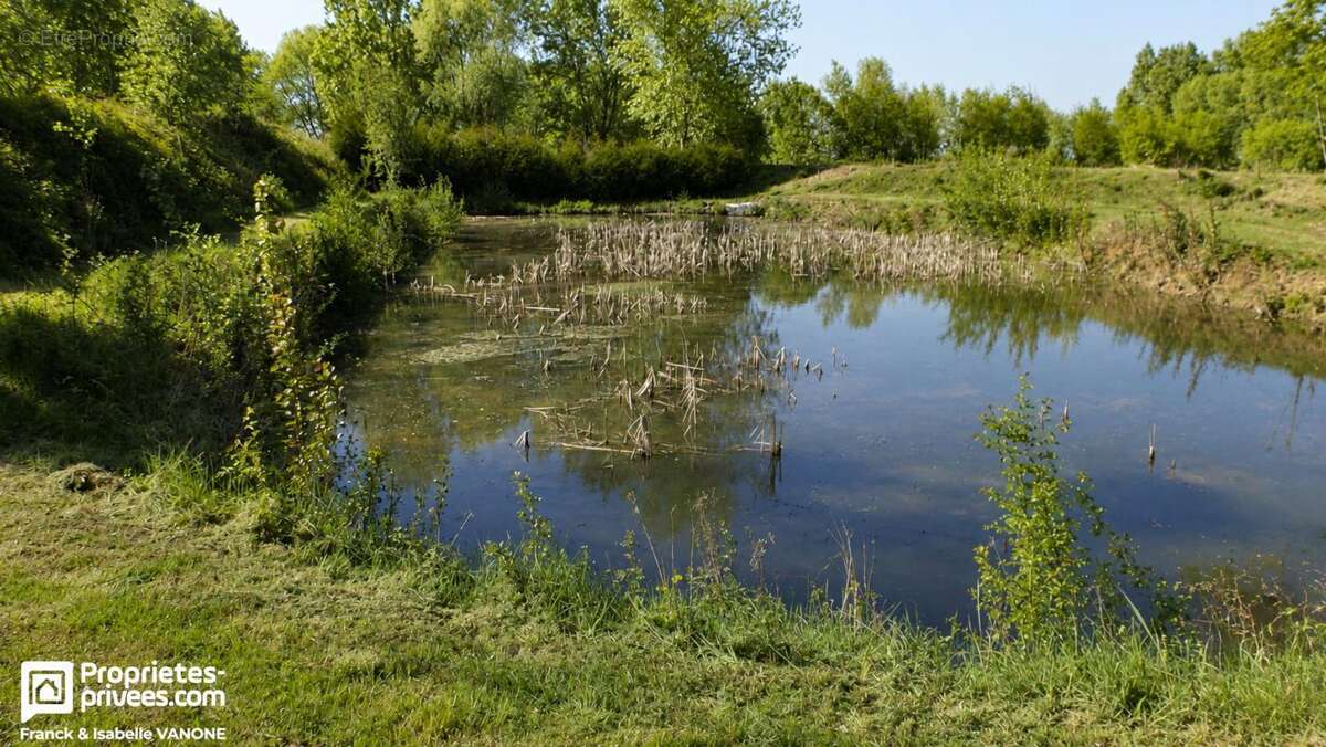 Terrain de loisirs avec deux étangs - 6 500 m² de nature à Aubers - photo 2