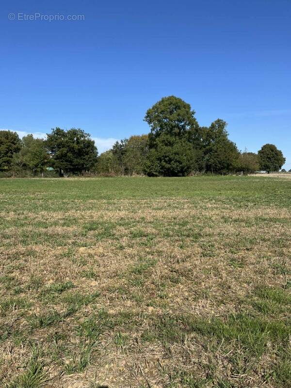 Terrain à BETHON