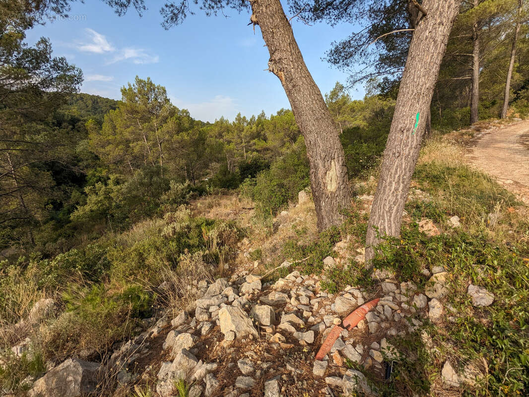 Terrain à LE LUC