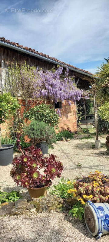 Maison à CASTELNAU-BARBARENS