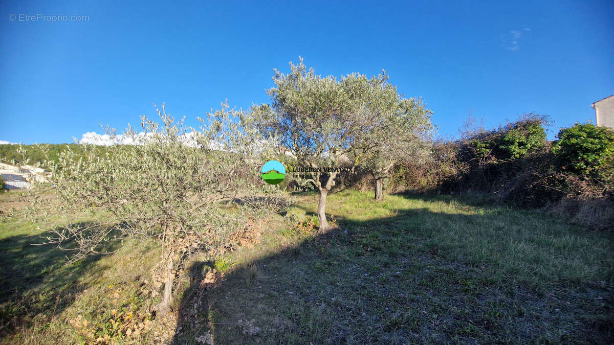 Terrain à CAROMB