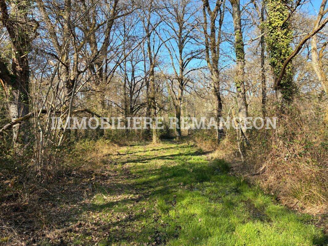 Maison à LAMOTTE-BEUVRON