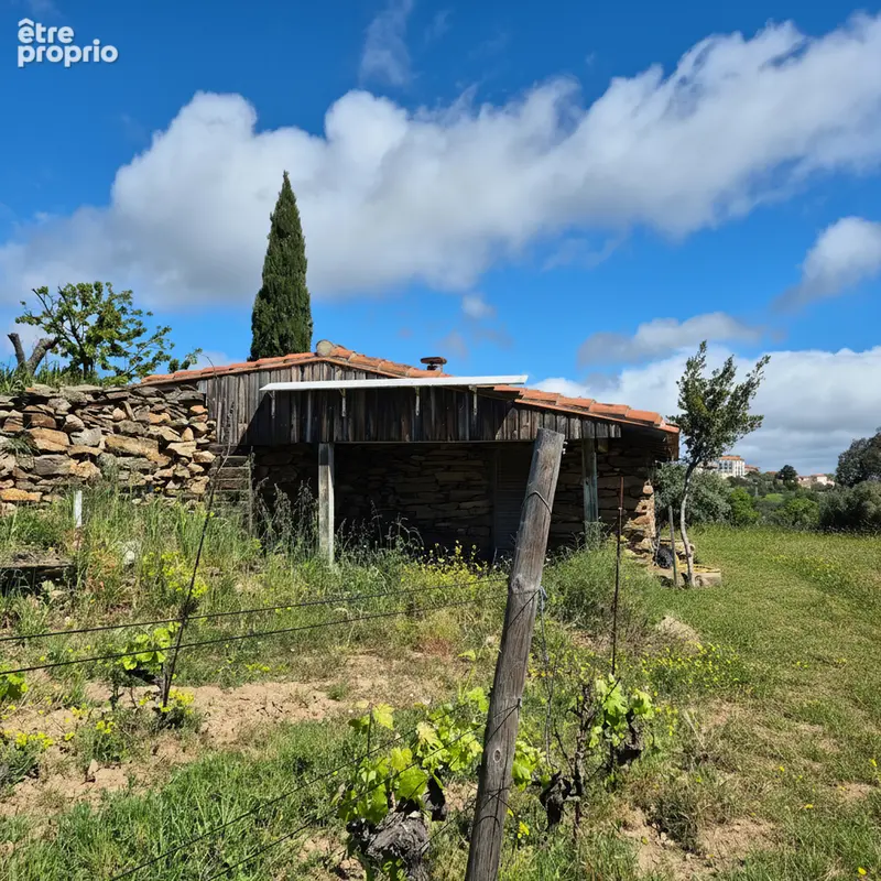 Domaine viticole - photo 7