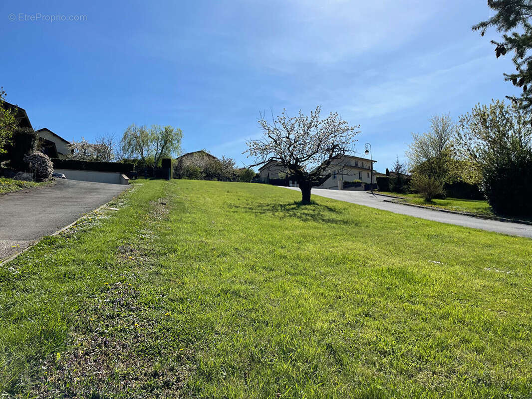 Terrain à POUILLY-LE-MONIAL