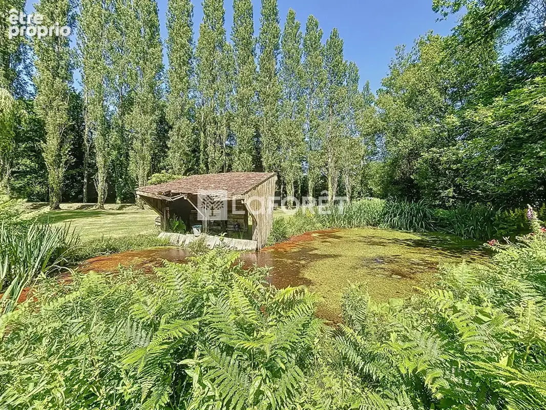 Étang 2 Hectares avec chalet, bois et dépendances BRIOUZE - Normandie - photo 5