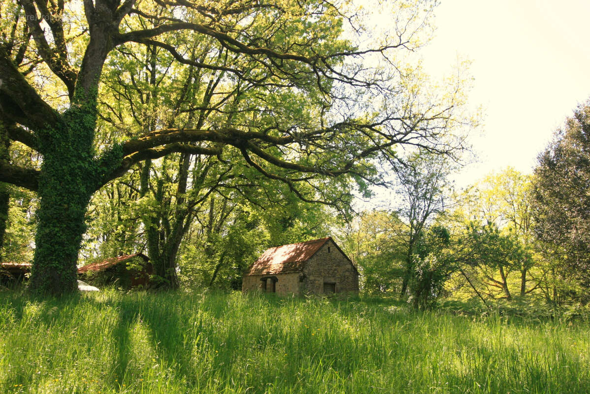 Maison à LA CHAPELLE-AUBAREIL