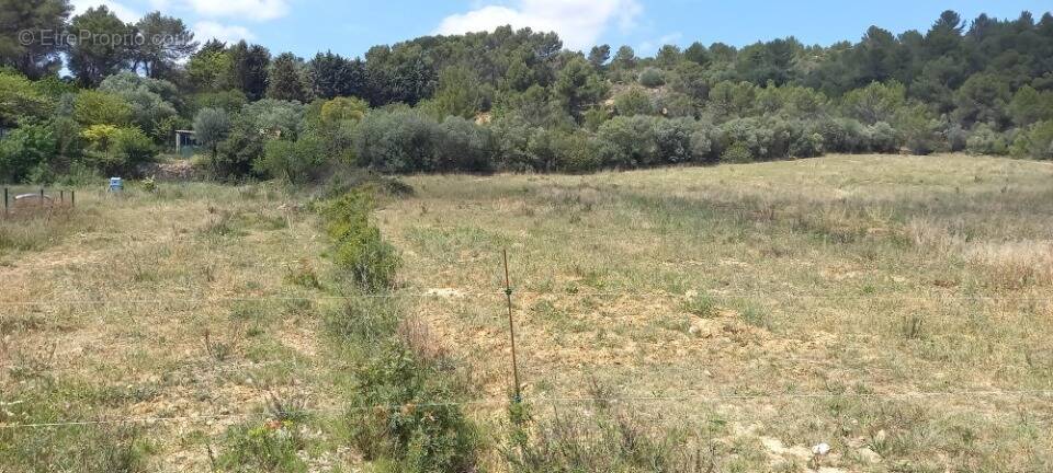 Terrain à BIZE-MINERVOIS
