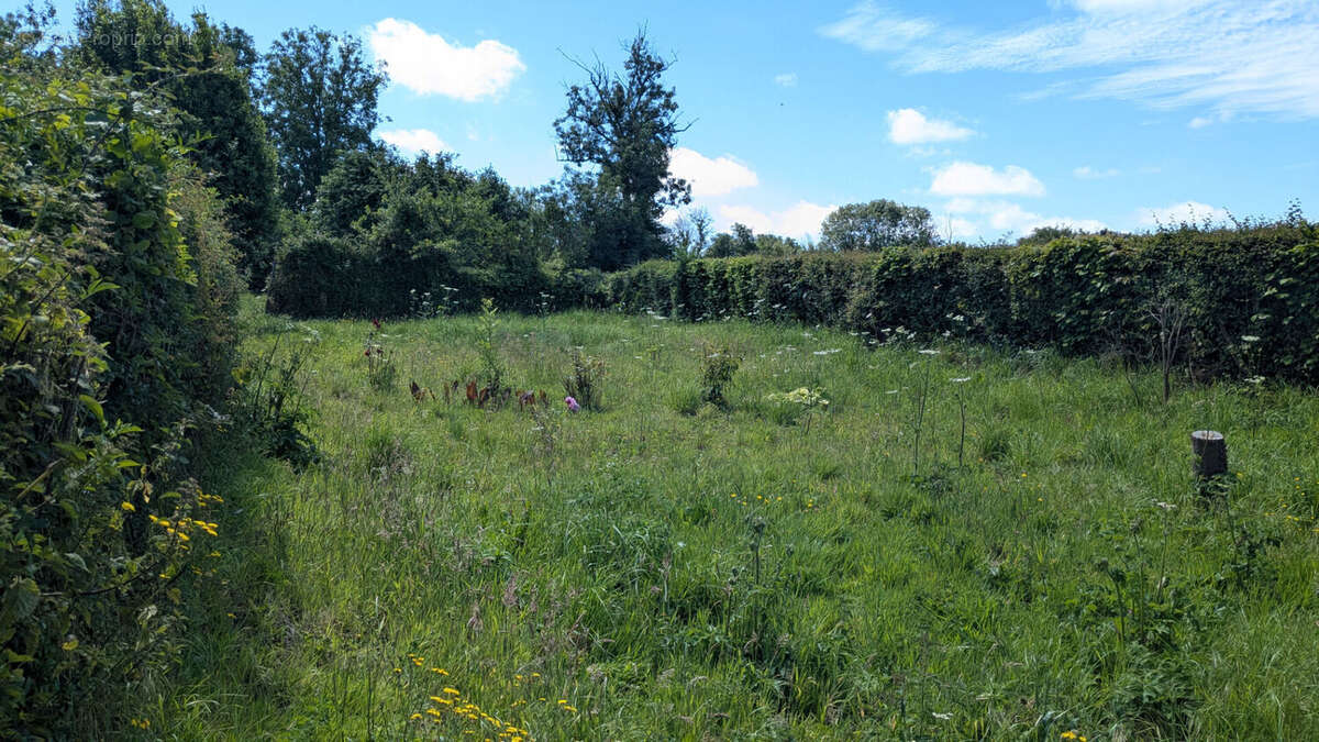 Jolie maison de campagne à rénover à AMFREVILLE - 68,5 m² - photo 9