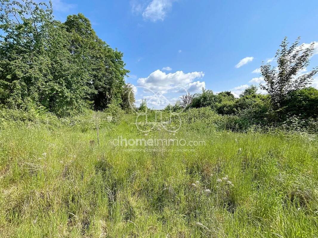 Terrain à MONCHEAUX