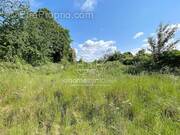 Terrain à MONCHEAUX