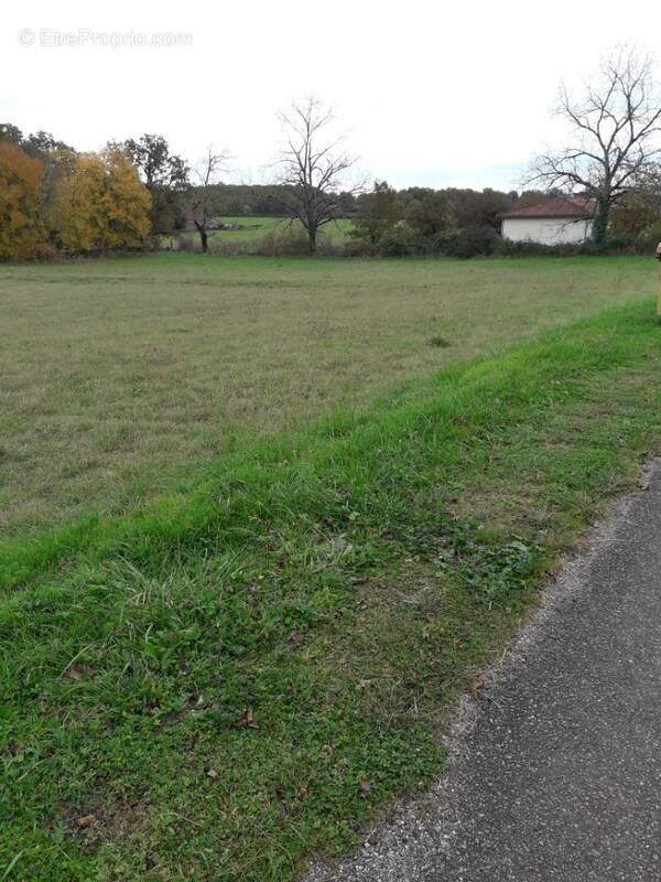 Terrain à MONTSALES