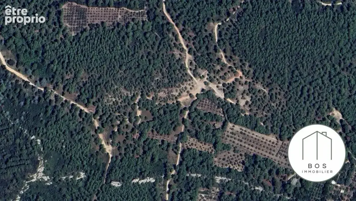 Votre Mazet au coeur des Alpilles - photo 17