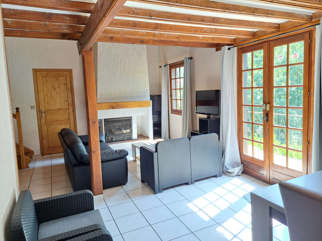 Grande maison familiale avec gîte indépendant, terrasses et jardin à Sainte-Colombe-sur-Guette - photo 10