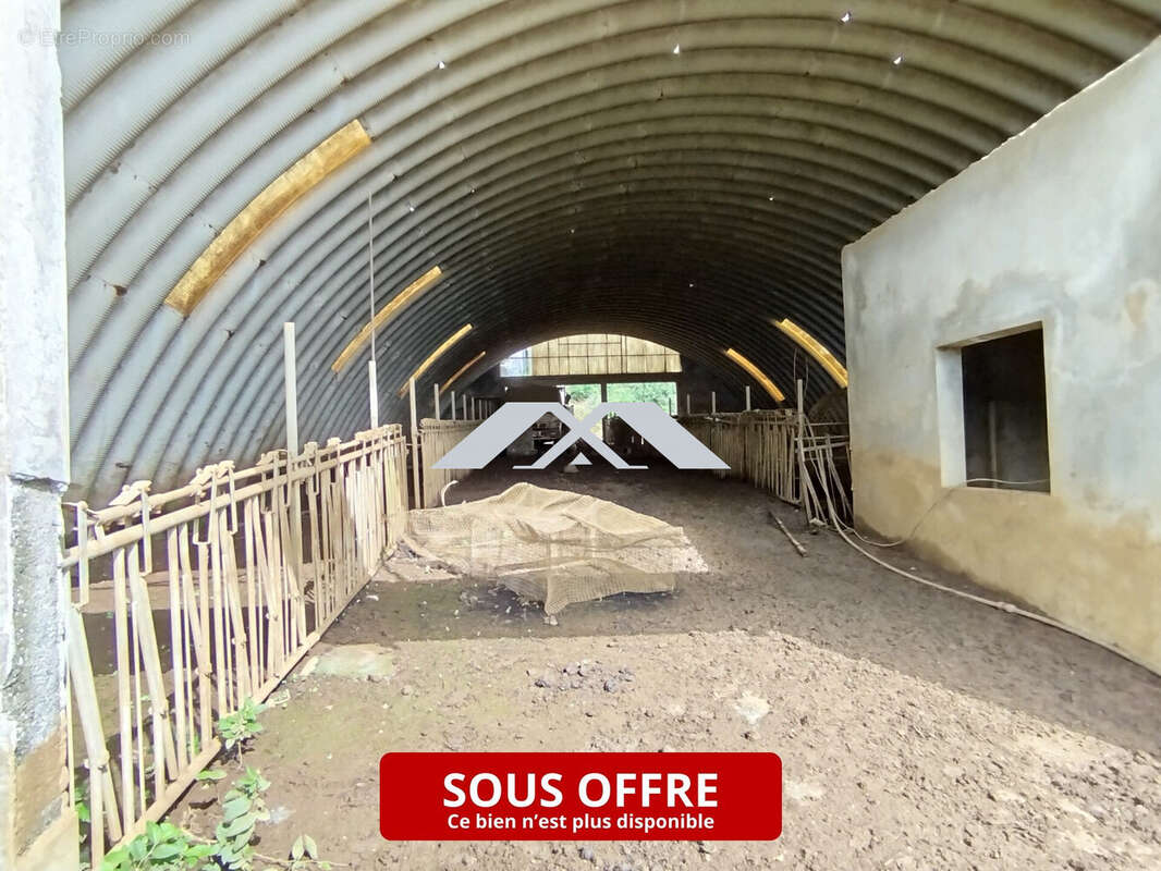 Terrain à SAINT-BENOIT