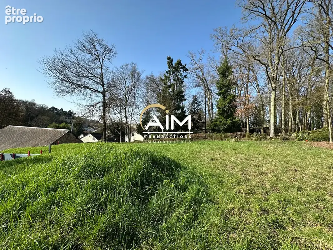 Opportunité Rare : Terrain à Bâtir de 556 m² - Saint-Antoine-du-Rocher (37360) - photo 2