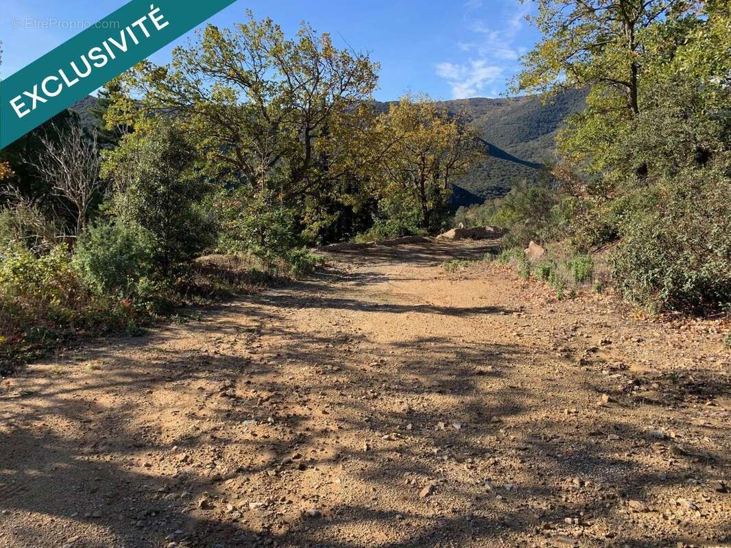 Photo 3 - Terrain à FELLUNS