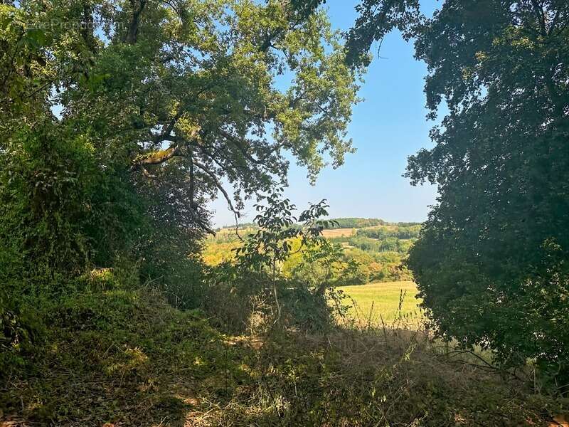 Maison à MONTESQUIOU