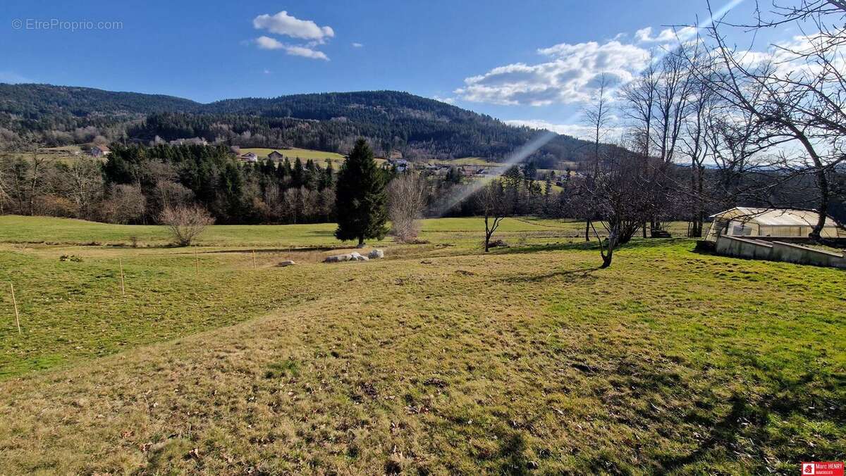 Terrain 1165 m² à Cleurie  - photo 6