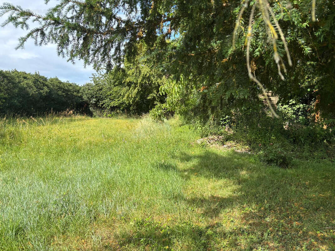 Exclusivité,   CANGEY   À proximité d’Amboise   Maison à rénover avec jardin, dépendance et beau potentiel - photo 6